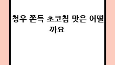 청우 쫀득 초코칩: 후기와 솔직한 평가